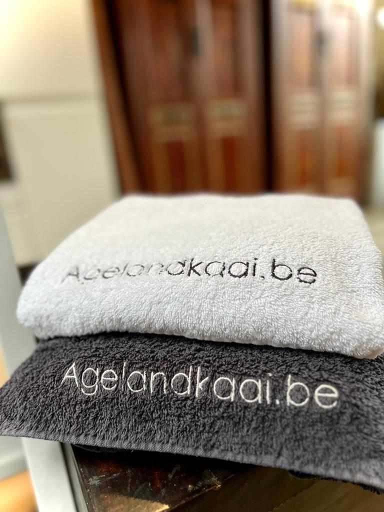 L'atique By Agelandkaai Be With Free Parking Appartement Gent